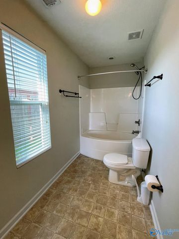 3412 Castlecreek Drive, Madison, AL 35756