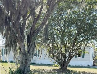 1660 BELMONT WOODS DRIVE, Mulberry, FL 33860