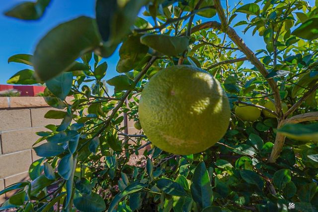 28861 Colorado Ave, Yuma, AZ 85356