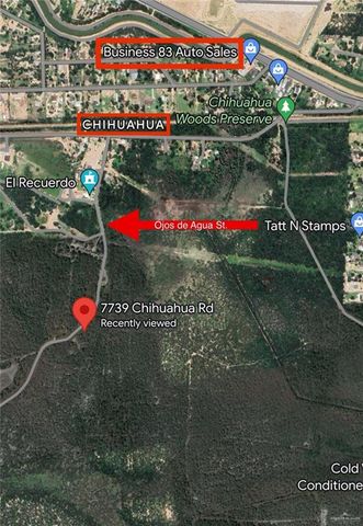 7739 Chihuahua Road, Mission, TX 78572