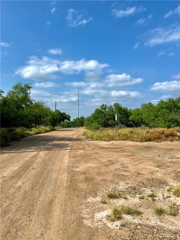 7739 Chihuahua Road, Mission, TX 78572