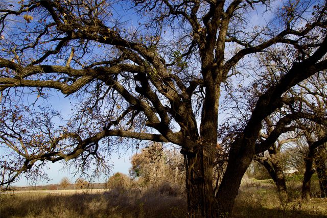 111 N Stadium Drive, Alvord, TX 76225