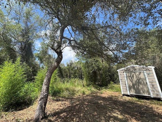15299 NE 238TH STREET, Fort Mc Coy, FL 32134