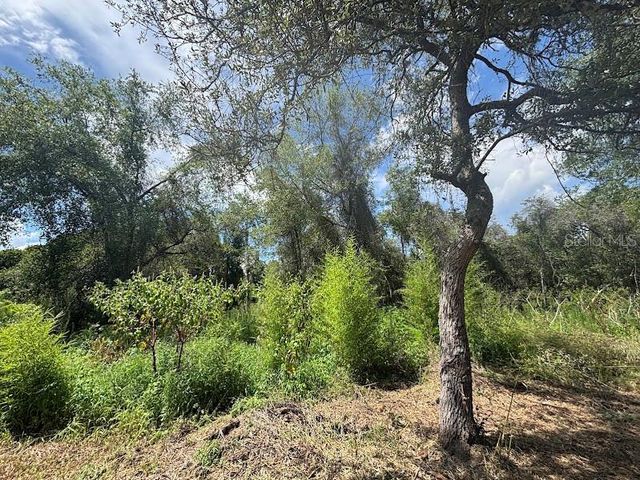 15299 NE 238TH STREET, Fort Mc Coy, FL 32134