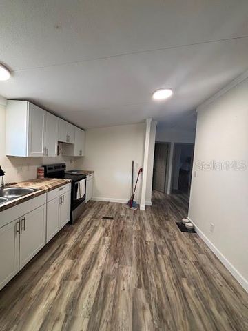 15299 NE 238TH STREET, Fort Mc Coy, FL 32134