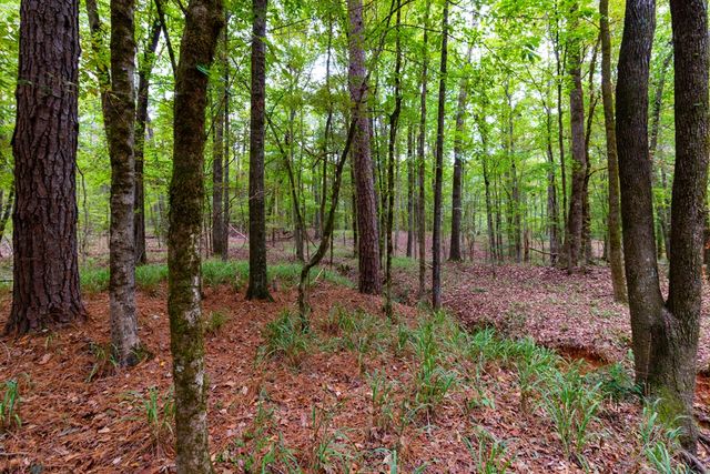 8585 Mckee Road, Upatoi, GA 31829