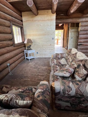 160 Birch Drive, Twin Lakes, CO 81251