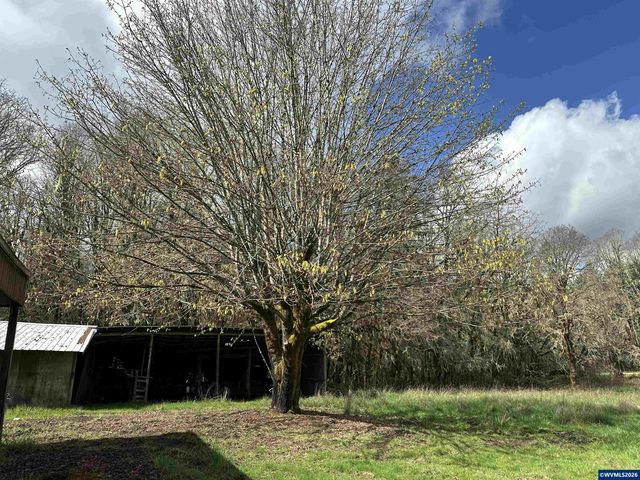 26622 Fudge Rd, Alsea, OR 97324