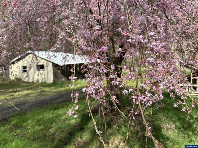 26622 Fudge Rd, Alsea, OR 97324