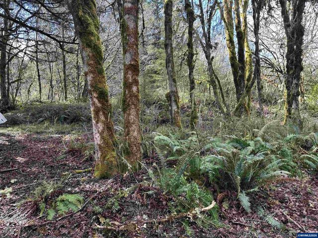 26622 Fudge Rd, Alsea, OR 97324