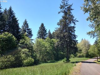 Ne 294th Cir, La Center, WA 98629