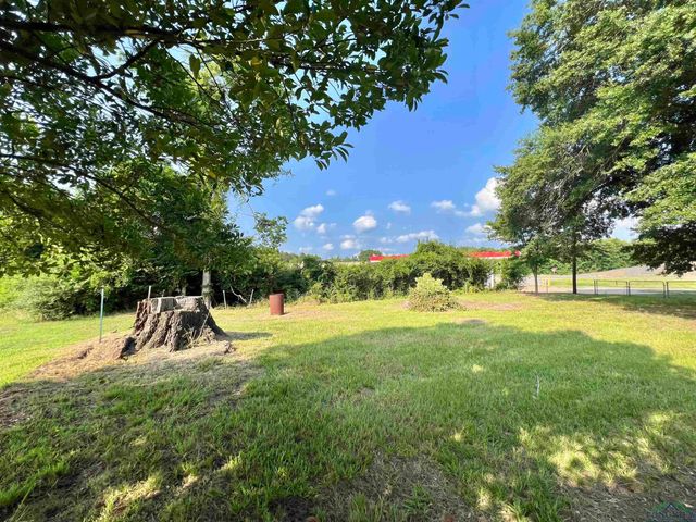 280 MAIN ST, Avinger, TX 75630