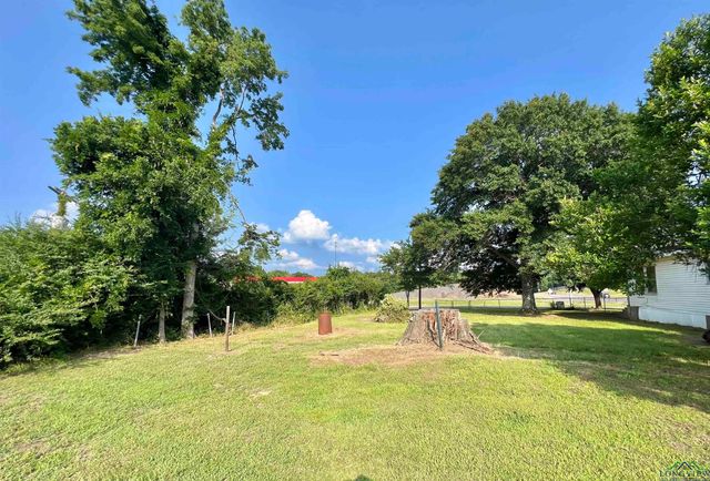280 MAIN ST, Avinger, TX 75630