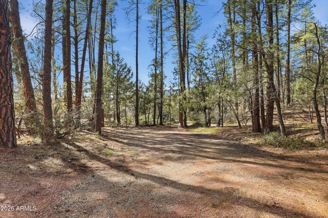 5920 W Robin Way, Pine, AZ 85544