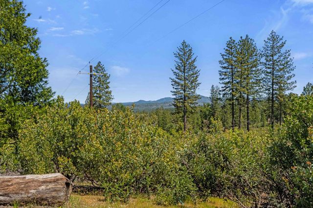 18551 Button Down Ln, Mokelumne Hill, CA 95245