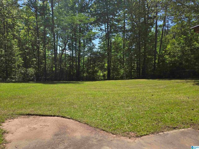 415 ELIZABETH DRIVE, Roanoke, AL 36274