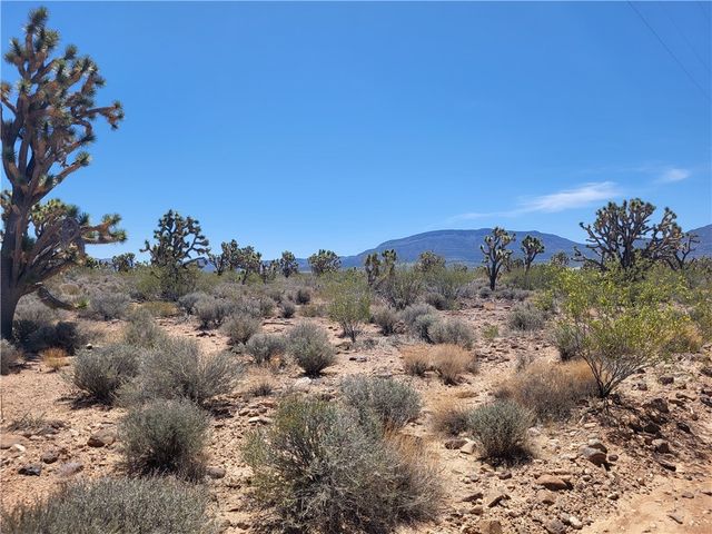 26776 N Yucca Road, Meadview, AZ 86444