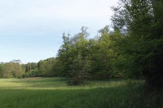 Part lot 2 CSM County Road K, Montello, WI 53949