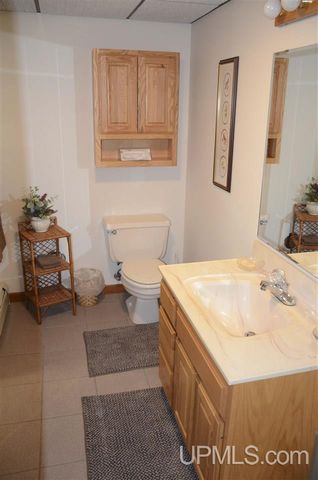 202 Cataldo Drive, Iron River, MI 49935