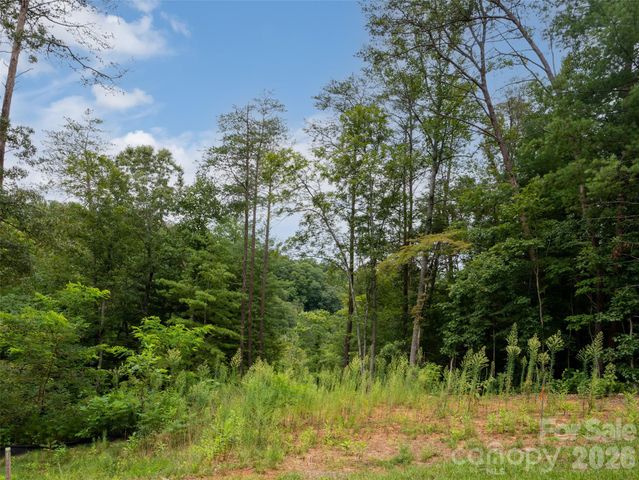 128 Riverbend Forest Drive 24, Asheville, NC 28805