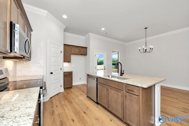24554 Mia Grace Lane, Toney, AL 35773