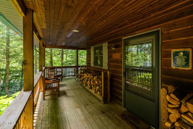206 Ripshin Lake Road, Roan Mountain, TN 37687
