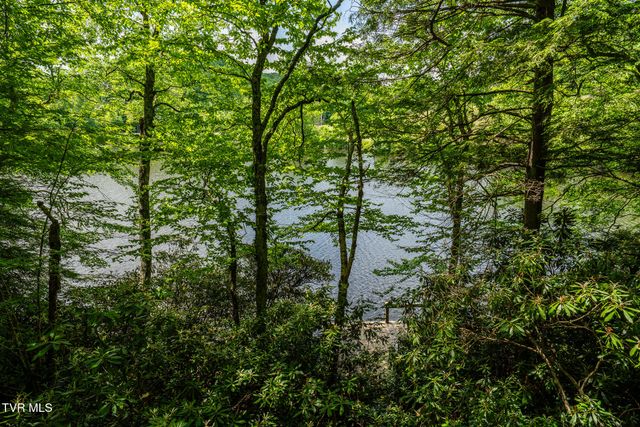 206 Ripshin Lake Road, Roan Mountain, TN 37687