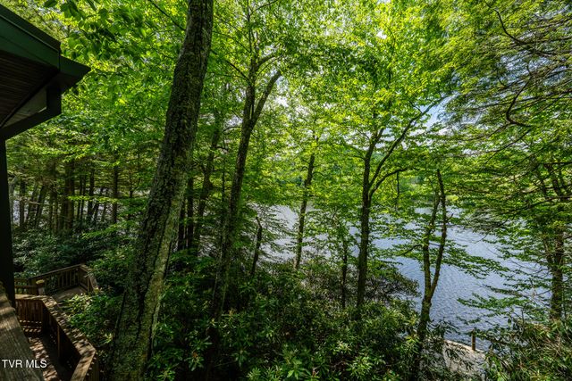206 Ripshin Lake Road, Roan Mountain, TN 37687