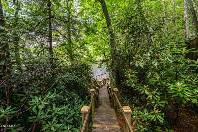 206 Ripshin Lake Road, Roan Mountain, TN 37687