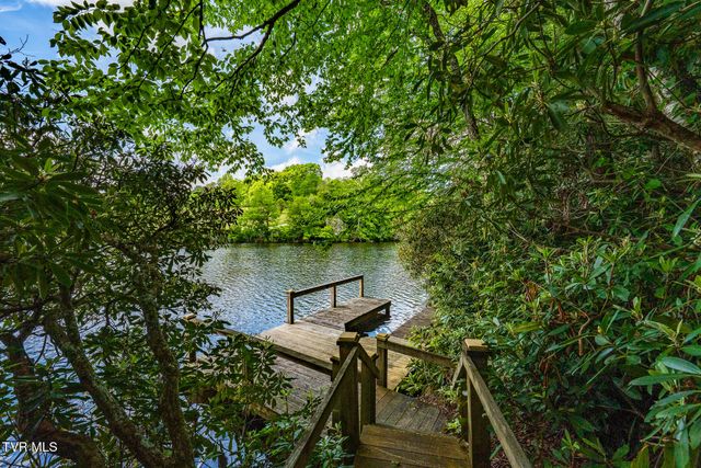 206 Ripshin Lake Road, Roan Mountain, TN 37687