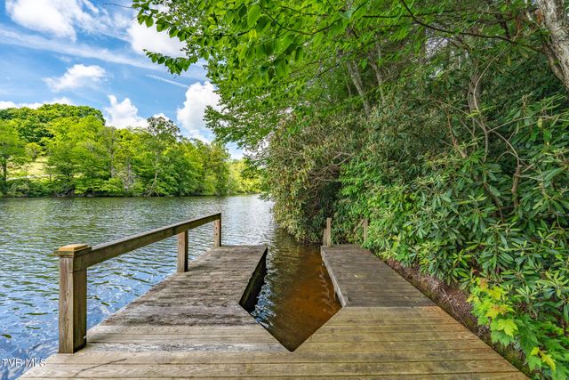 206 Ripshin Lake Road, Roan Mountain, TN 37687