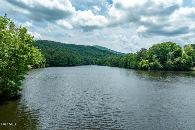 206 Ripshin Lake Road, Roan Mountain, TN 37687