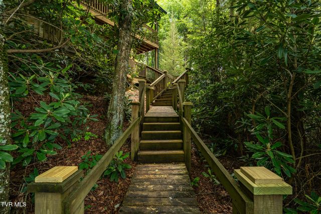 206 Ripshin Lake Road, Roan Mountain, TN 37687