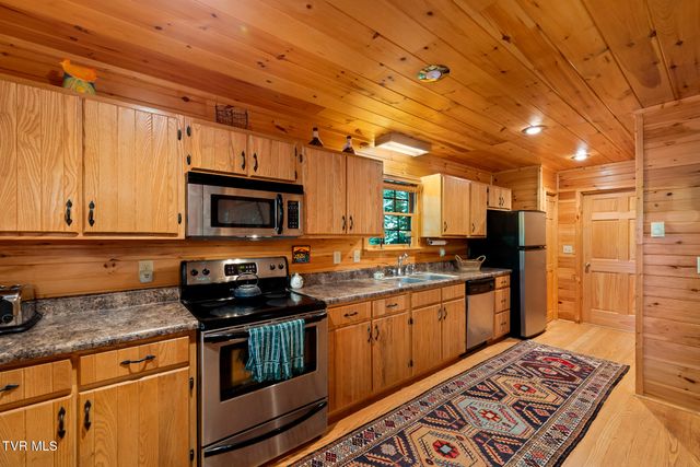 206 Ripshin Lake Road, Roan Mountain, TN 37687
