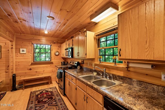 206 Ripshin Lake Road, Roan Mountain, TN 37687