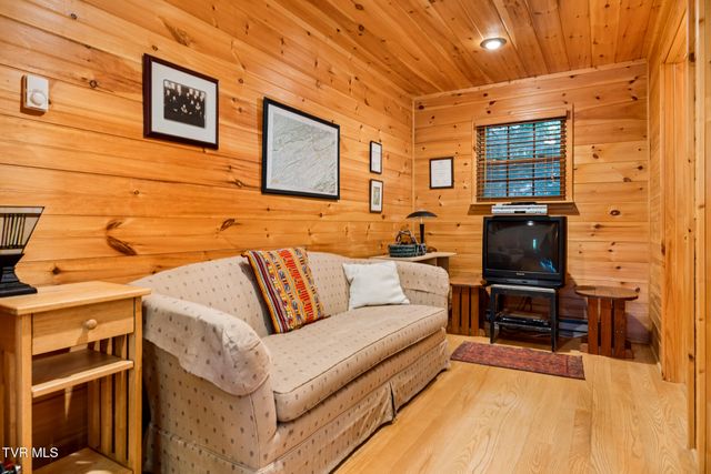 206 Ripshin Lake Road, Roan Mountain, TN 37687