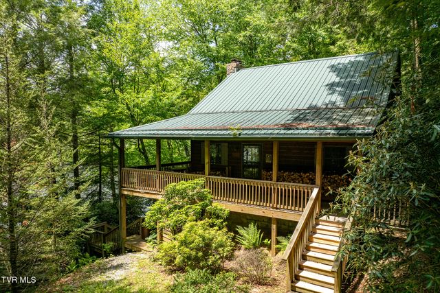 206 Ripshin Lake Road, Roan Mountain, TN 37687