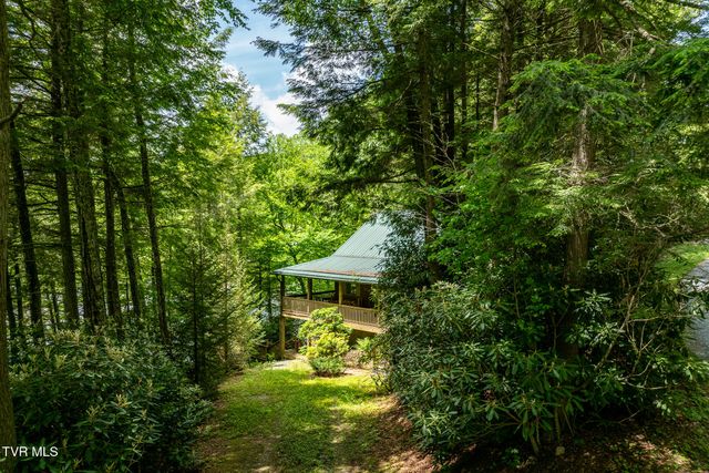 206 Ripshin Lake Road, Roan Mountain, TN 37687