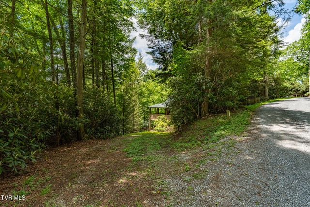 206 Ripshin Lake Road, Roan Mountain, TN 37687