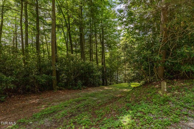 206 Ripshin Lake Road, Roan Mountain, TN 37687