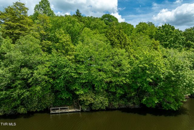 206 Ripshin Lake Road, Roan Mountain, TN 37687