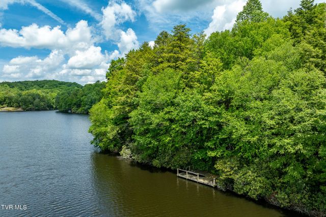 206 Ripshin Lake Road, Roan Mountain, TN 37687