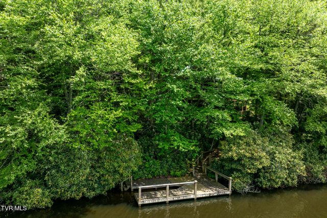 206 Ripshin Lake Road, Roan Mountain, TN 37687