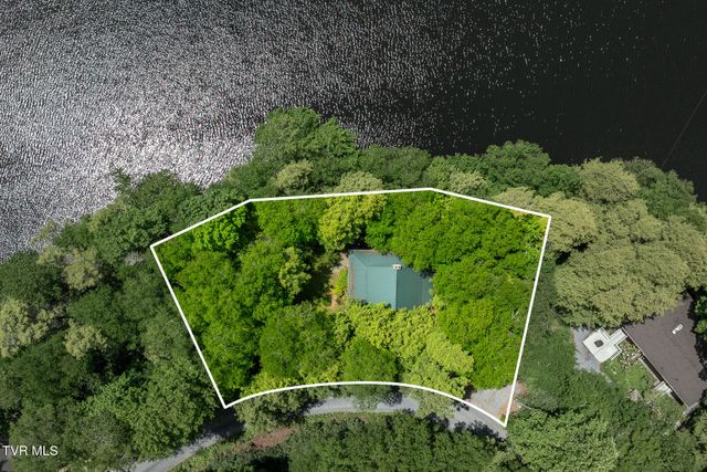 206 Ripshin Lake Road, Roan Mountain, TN 37687