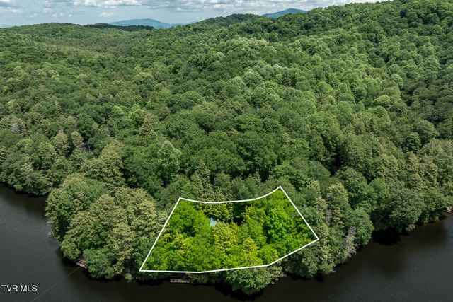 206 Ripshin Lake Road, Roan Mountain, TN 37687