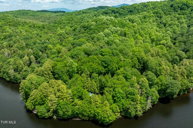 206 Ripshin Lake Road, Roan Mountain, TN 37687