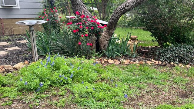 318 Clear Creek DR, Burnet, TX 78611