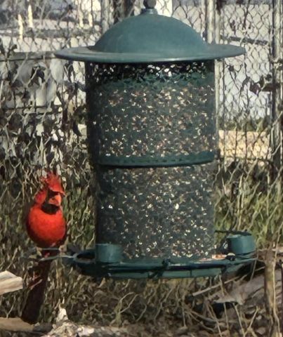 318 Clear Creek DR, Burnet, TX 78611