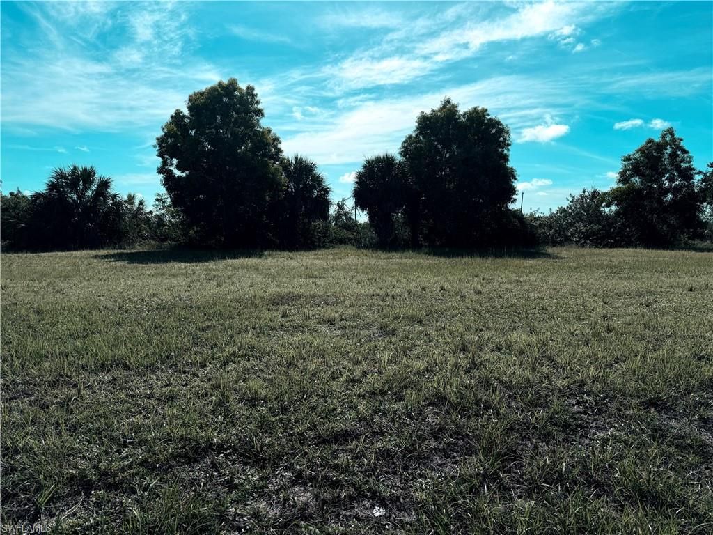 4123 Old Burnt Store RD N, CAPE CORAL, FL 33993 — photo 2