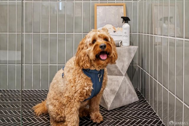 382 Lisbon Street, San Francisco, CA 94112